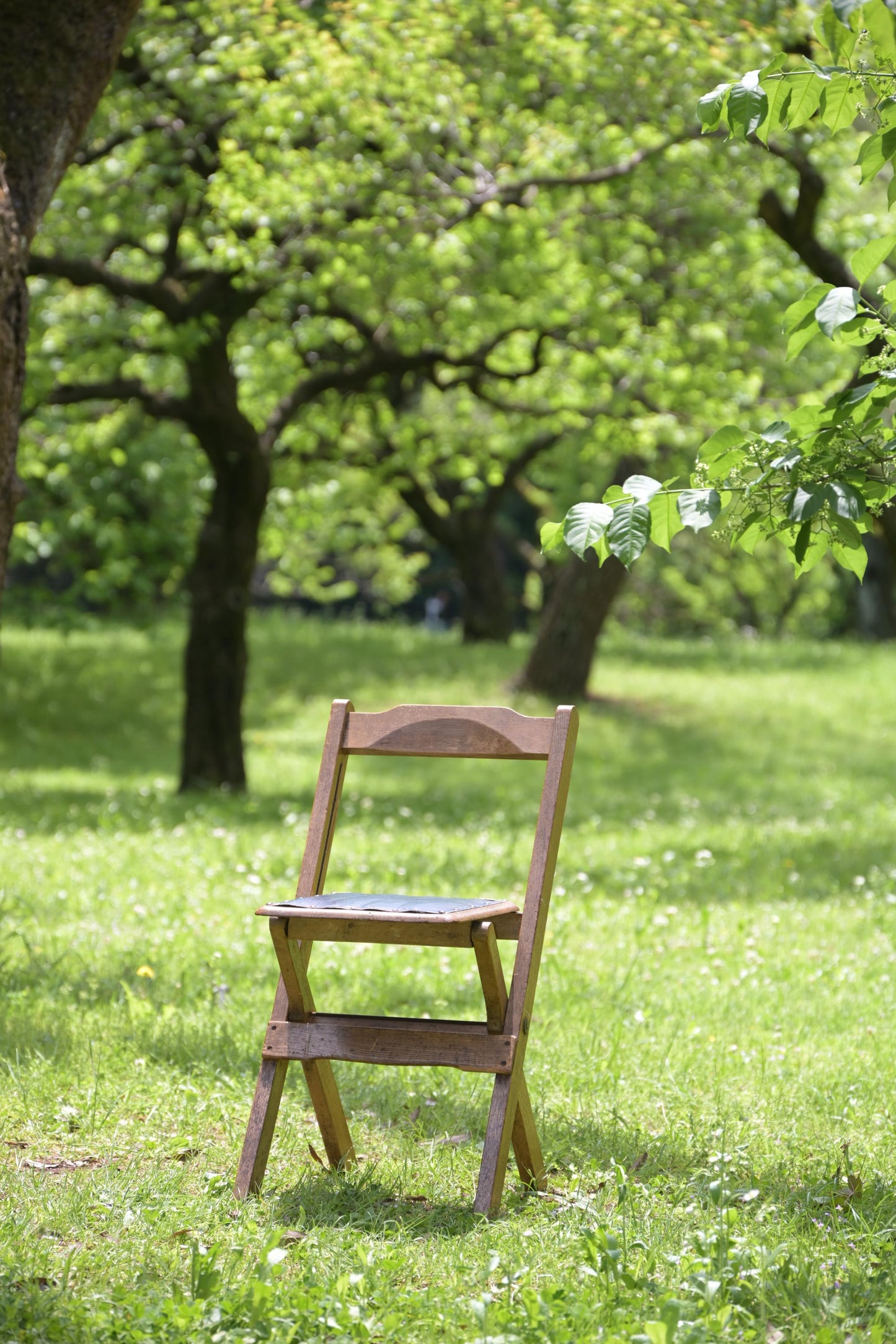 Folding chair