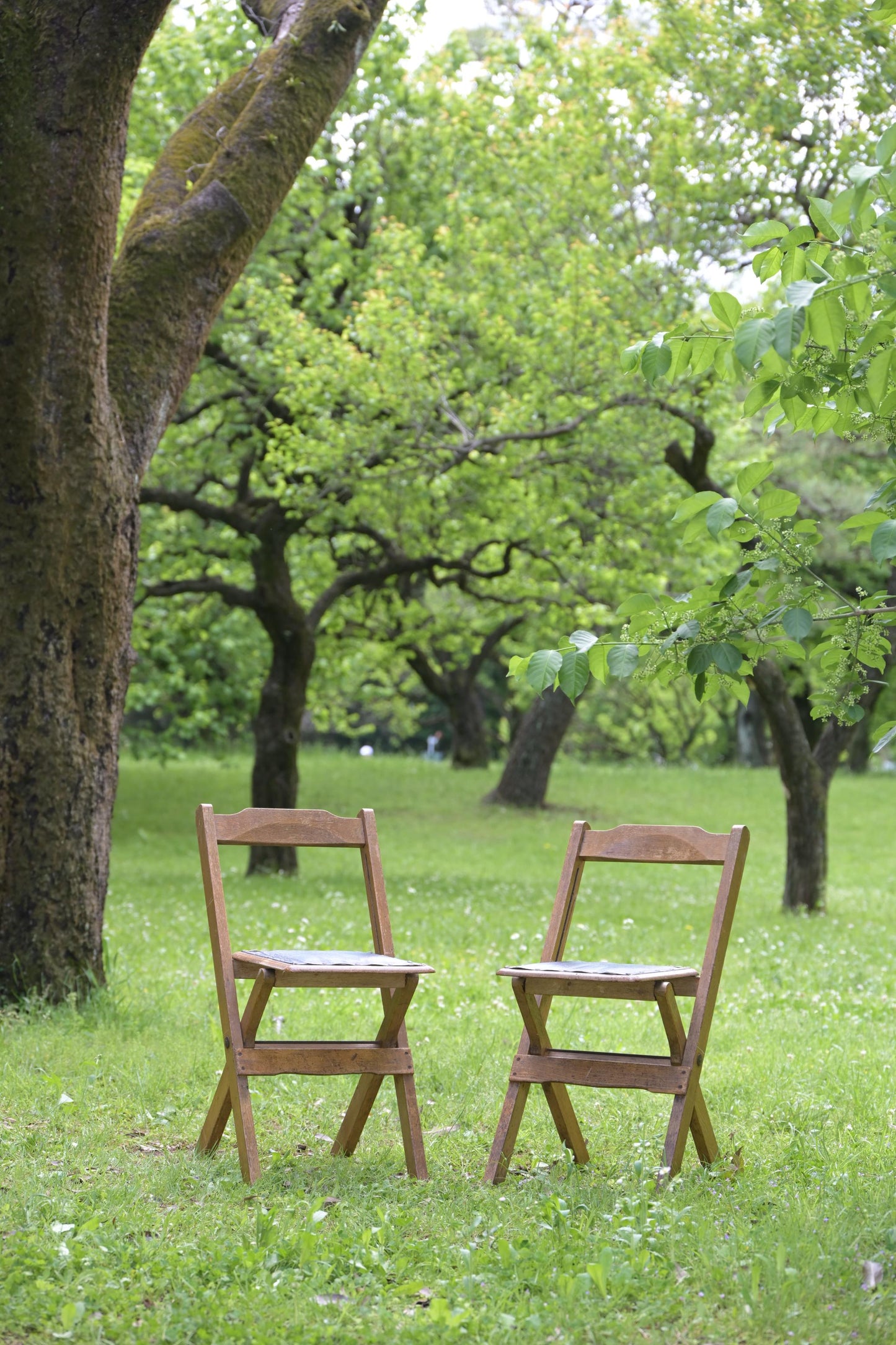 Folding chair