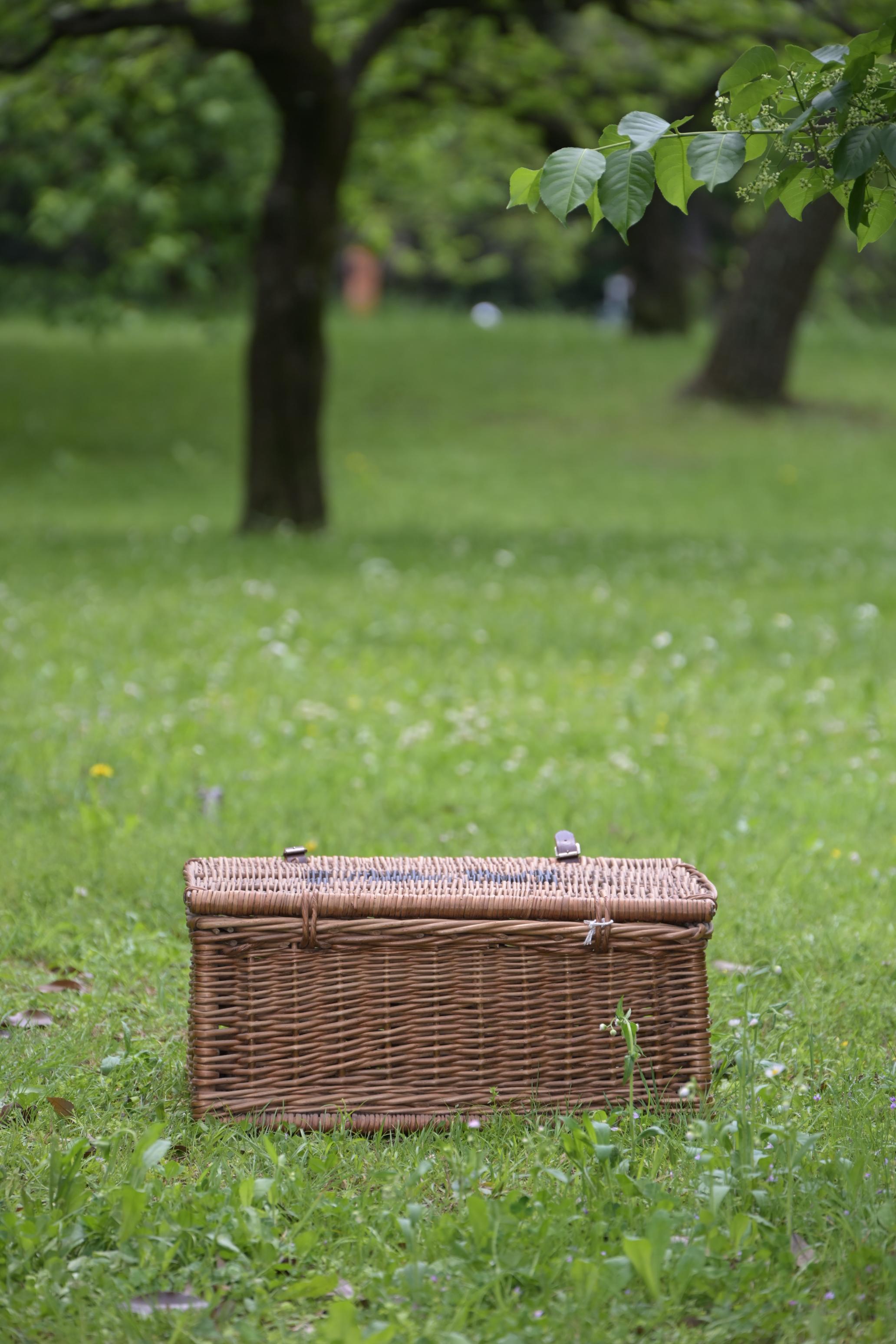 バスケット フォートナム＆メイソン Fortonum & Maison Basket (MTE) – moom