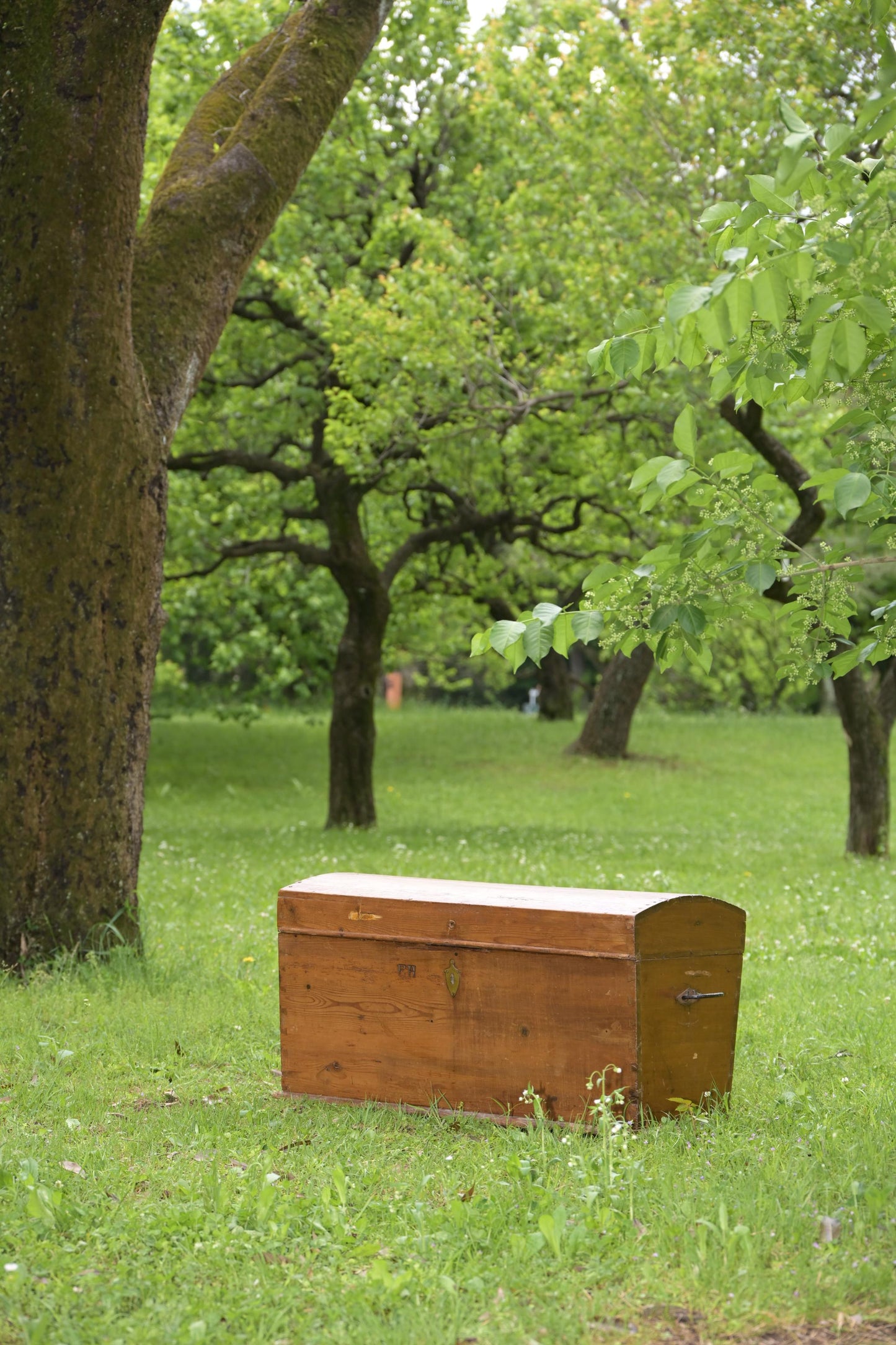 Antiqe Dorm Top wooden Trunk (LJ2010)