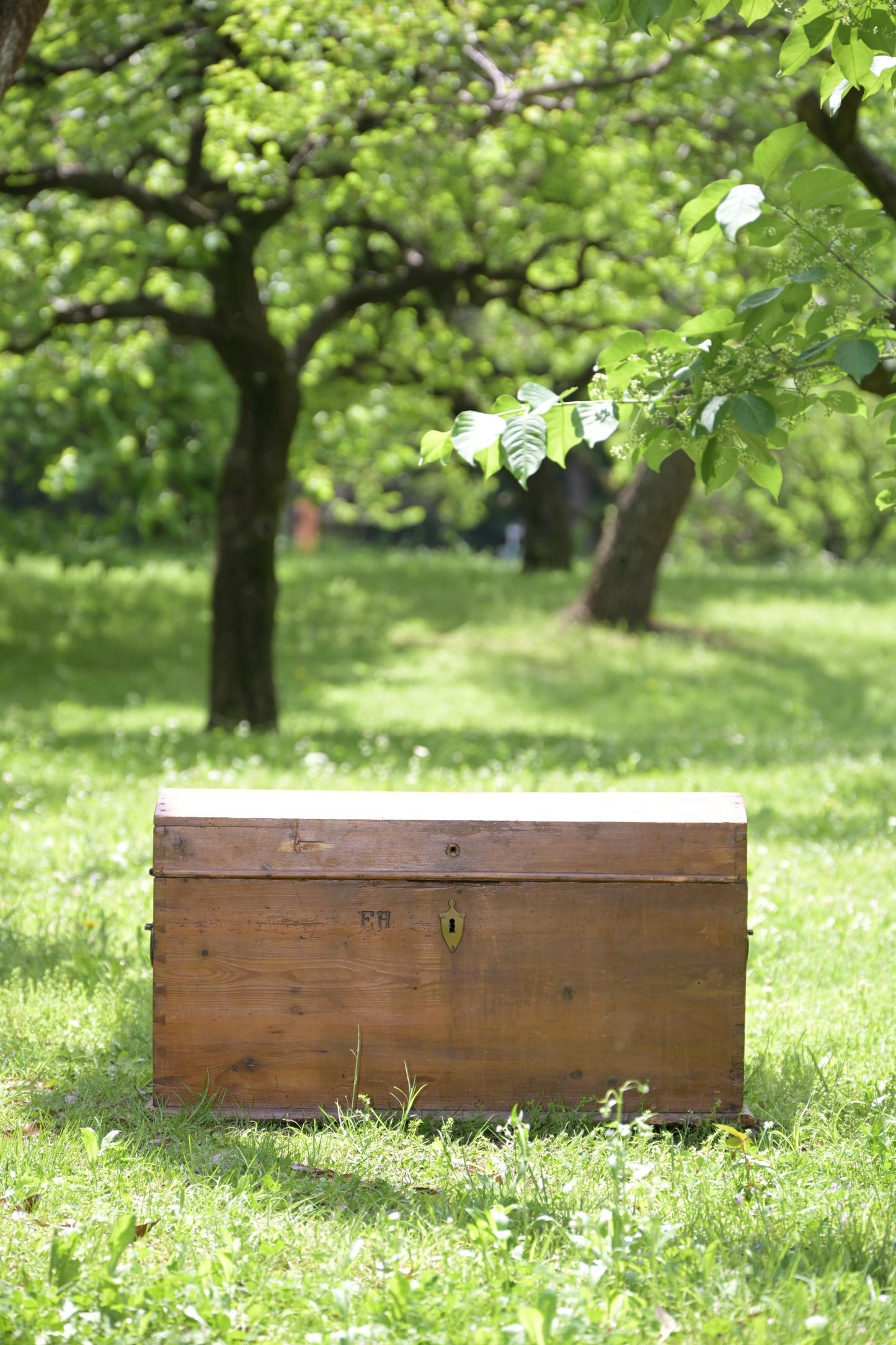 Antiqe Dorm Top wooden Trunk (LJ2010)